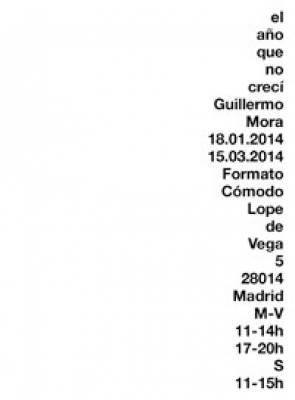 El año que no crecí