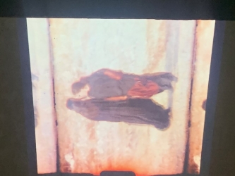To Carry a Home