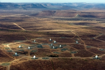 Cosmic networks